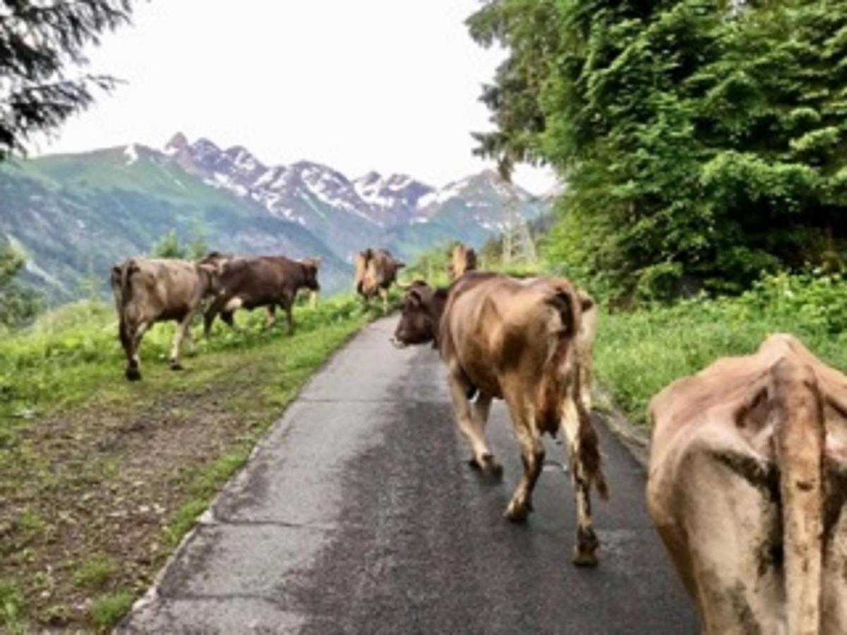 Landhaus Berktold Oberstdorf Zewnętrze zdjęcie